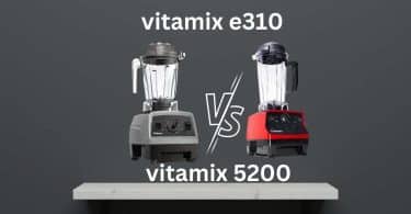 vitamix e310 vs 5200