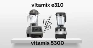 vitamix e310 vs 5300
