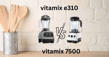 vitamix e310 vs 7500