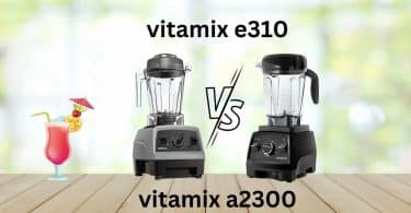 vitamix e310 vs a2300