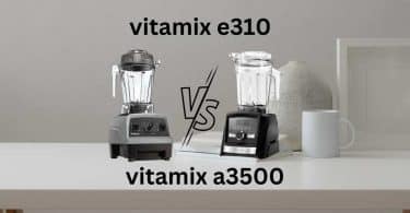 vitamix e310 vs a3500