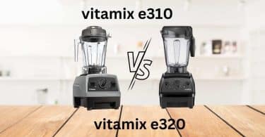 vitamix e310 vs e320