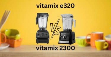 vitamix e320 vs 2300
