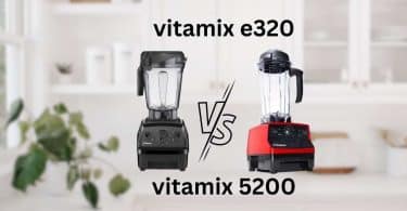 vitamix e320 vs 5200