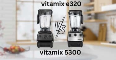 vitamix e320 vs 5300