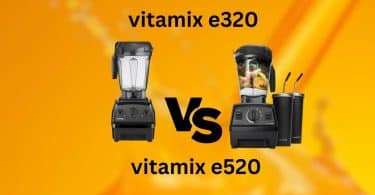 vitamix e320 vs e520