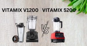 VITAMIX V1200 VS 5200