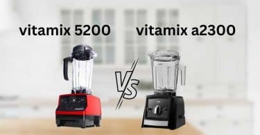 vitamix 5200 vs a2300