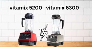 vitamix 5200 vs 6300