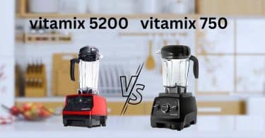 vitamix 5200 vs 750