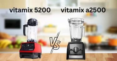 vitamix 5200 vs a2500